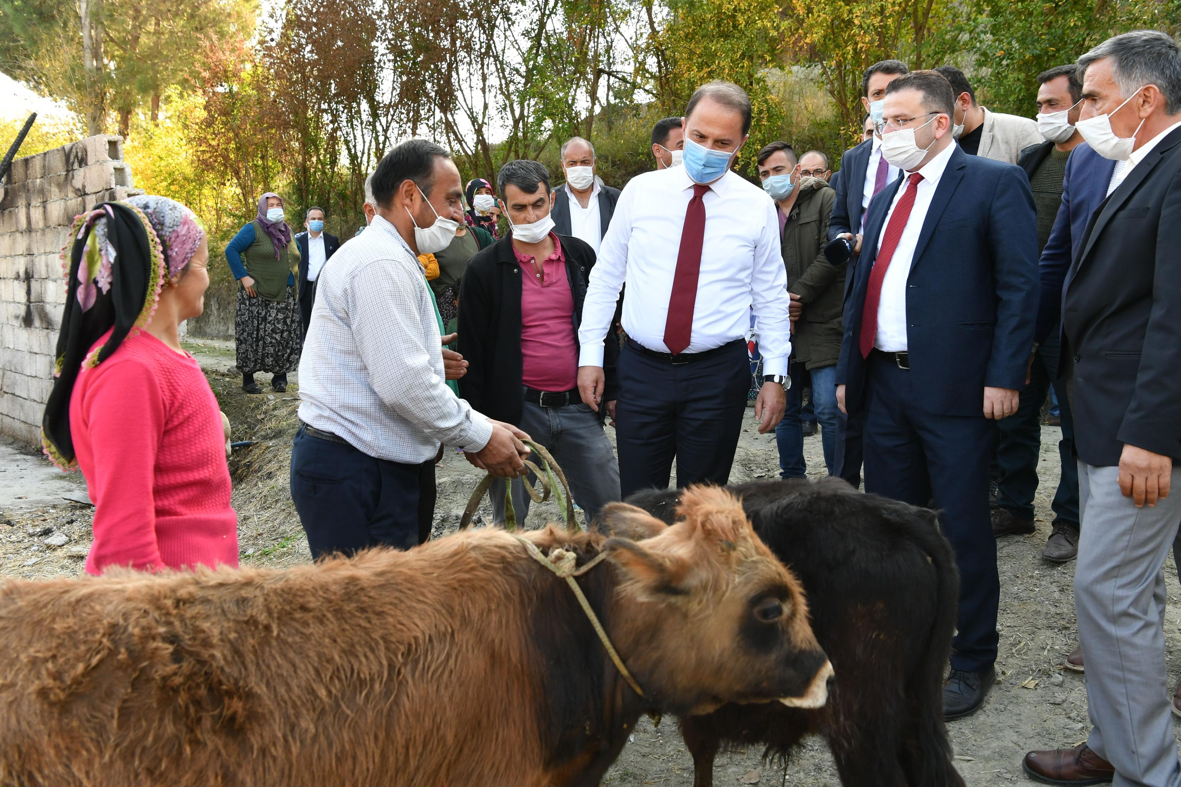 Yangın ve Sel Görseli